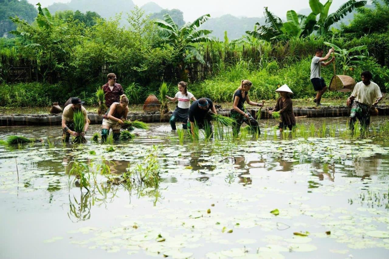 Tam Coc Lacasa * Ninh Binh